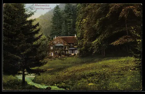 AK Gr. Tabarz /Thür. Wald, Massemühle im Lauchagrund mit angrenzendem Wald