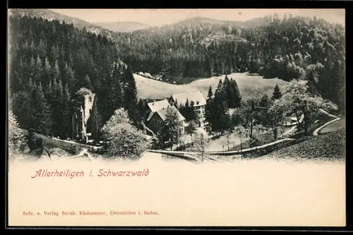 AK Allerheiligen / Schwarzwald, Ortsansicht aus der Vogelschau
