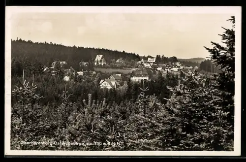 AK Oberbärenburg /Osterzgebirge, Totalansicht über die Baumkronen hinweg