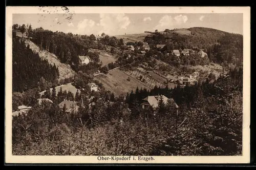 AK Ober-Kipsdorf i. Erzgeb., Gesamtansicht von einem Berg aus