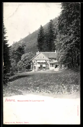 AK Tabarz, Die Massemühle im Lauchagrund