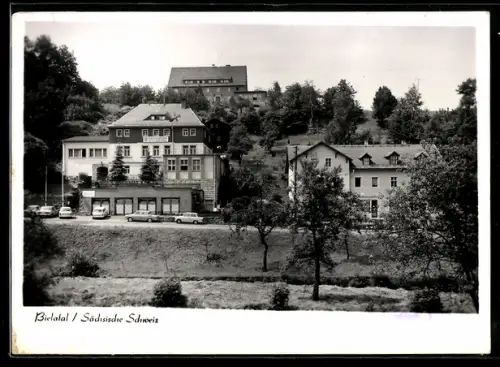 AK Bielatal /Sächsische Schweiz, Erholungsheim Bielatal mit Strassenpartie