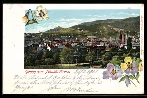 AK Neustadt, Blick auf die Stadt