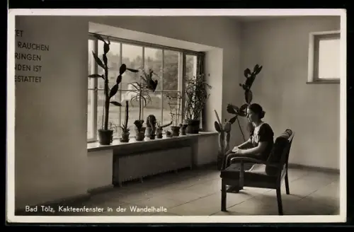 AK Bad Tölz, Kakteenfenster in der Wandelhalle