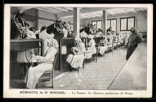 AK Hémostyl du Dr Roussel, La Saignée des Chevaux producteurs de Serum