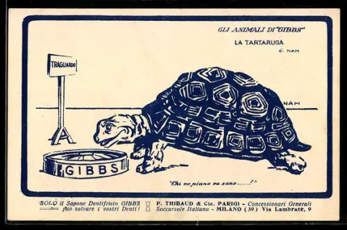 AK Gibbs Dentifrice, P. Thibaud & Cie. Parigi, Gli Animali di Gibbs, La Tartaruga