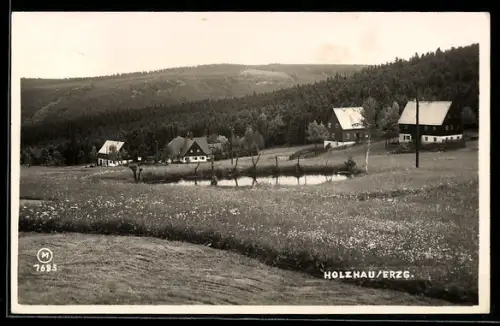 AK Holzhau /Erzg., Ortsansicht mit Wald