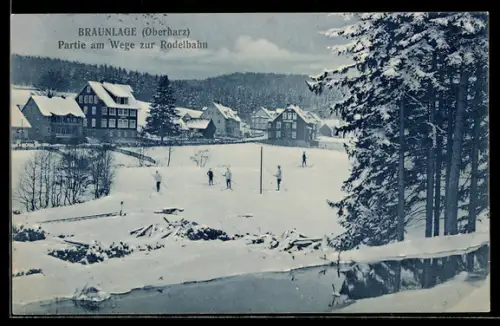AK Braunlage /Oberharz, Partie am Wege zur Rodelbahn