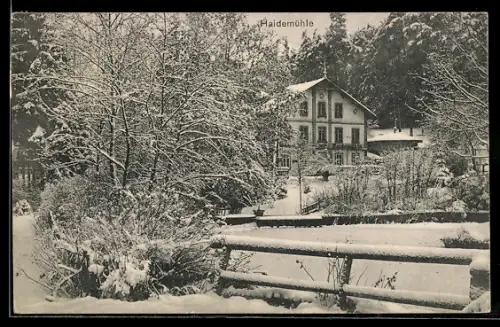 AK Langebrück i. Sa., Verschneite Haidemühle am Waldrand, Inh. Franz Riemer
