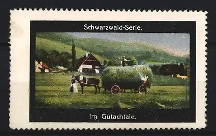 Reklamemarke Schwarzwald, Im Gutachtale, Landschaft mit Pferdewagen