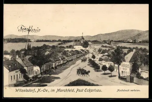 AK Eckartsau /N.-Oe., Witzelsdorf im Marchfeld, Strasse mit Forsthaus und Kirche