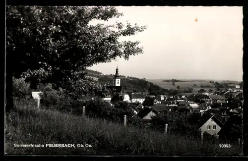 AK Peuerbach /Ob. Oe., Panorama mit Kirche