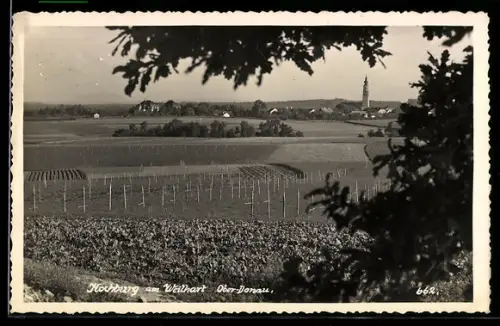 AK Hochburg am Weilhort, Panorama mit Kirchturm