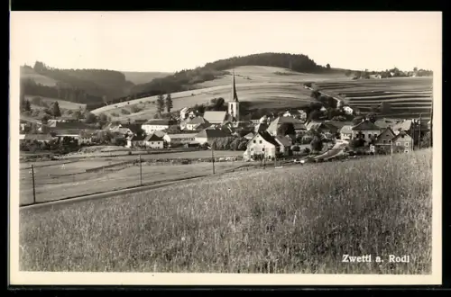 AK Zwettl a. Rodl, Panorama mit Kirche und Häusern