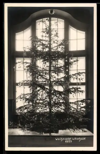 AK Hochzirl, Weihnachtsbaum 1925 vor dreibahnigem Fenster