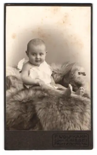 Fotografie P. Wolfkamp, Friedeberg /NM., Portrait eines Babys auf einem Fell