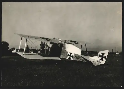 Fotografie 1.WK, Flugzeug Albatros Typ Br. CI Spezial-Umbau, Jasta Doppeldecker k.u.k. Luftfahrtruppen, Kennung: 26.17