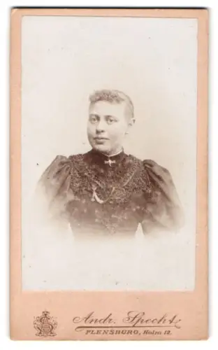 Fotografie Andr. Specht, Flensburg, Holm 12, Porträt einer Dame mit elegantem Kleid