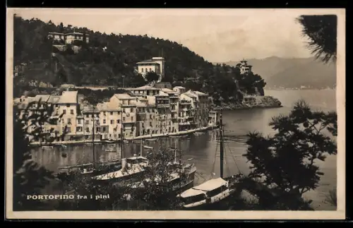 AK Portofino, Fra i pini e barche nel porto
