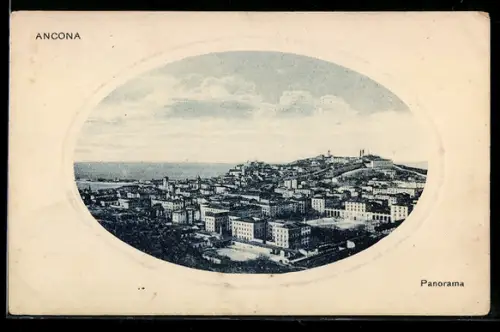 AK Ancona, Panorama