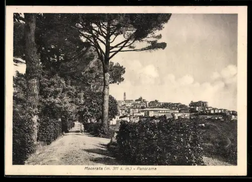 AK Macerata, Panorama