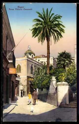 AK Capri, Corso Vittorio Emanuele con palma e passanti