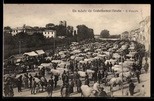 AK Castelfranco Veneto, Il Mercato