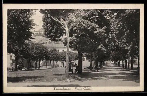 AK Fossombrone, Viale Cairoli