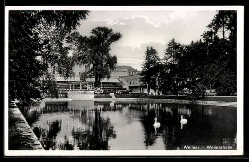 AK Weimar, Blick zur Weimarhalle, Parkteich mit Schwänen