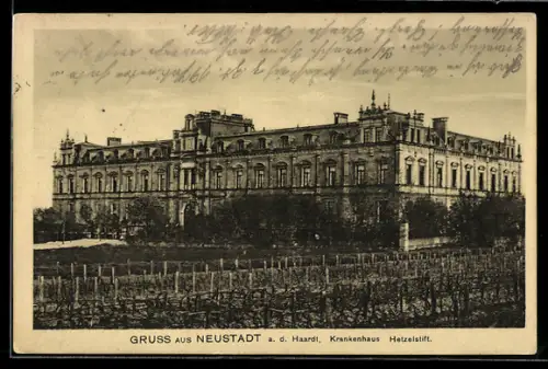 AK Neustadt a. d. Haardt, Krankenhaus Hetzelstift