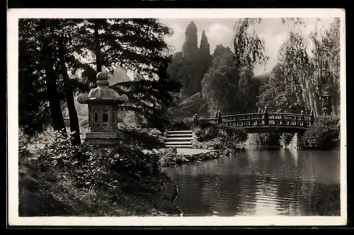 AK Hamburg-Stellingen, Cal Hagenbeck`s Tierpark, Japanische Insel
