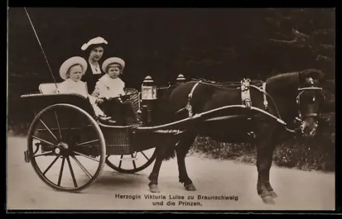 AK Herzogin Viktoria Luise von Braunschweig und die Prinzen