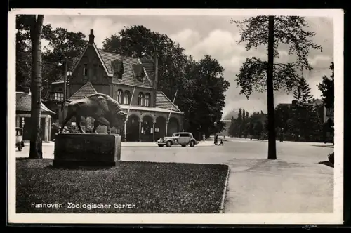 AK Hannover, Zoologischer Garten mit Wisent-Statue