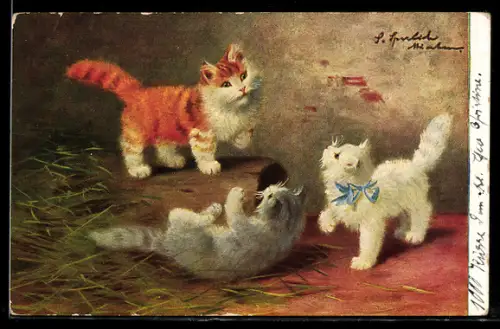 AK Drei kleine Katzen beim Spiel