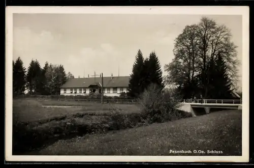 AK Feldkirchen an der Donau, Pesenbach, Schloss mit Brücke