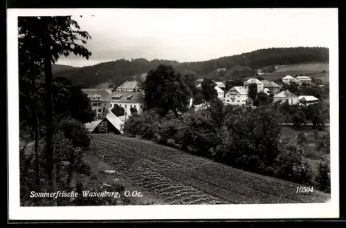 AK Waxenberg /O.-Oe., Teilansicht