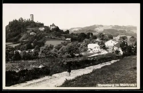 AK Waxenberg /Mühlviertel, Ortsansicht mit Burgruine
