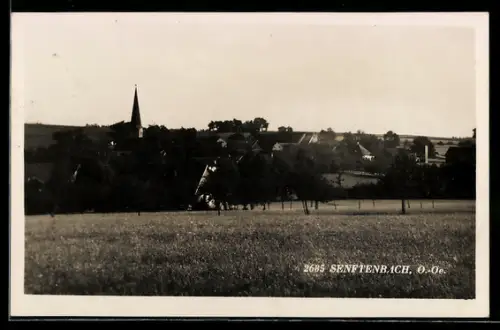 AK Senftenbach /O. Oe., Panorama mit Kirche