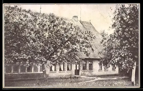 AK Schorlingborstel /Bassum, Haus in Lowe mit Gartenanlage