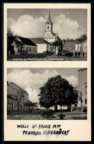 AK Weiden am Neusiedlersee, Blick zur Kirche, Strassenpartie mit Kriegerdenkmal und Kastanienbaum