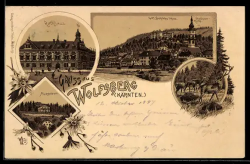Lithographie Wolfsberg /Kärnten, Gräfl. Henckel`sches Schloss und Stadtpfarr Kirche, Rathaus, Mausoleum
