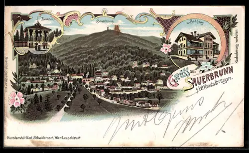 Lithographie Savanyukut, Fürdöhaz, Kut