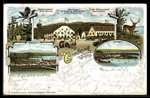 Lithographie Lochen am See, Gruss vom Tannberg, Gasthaus St. Hubertus, Mattsee, Wallersee