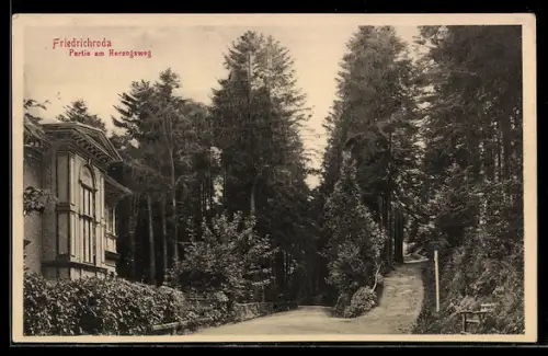 AK Friedrichroda, Partie am Herzogweg