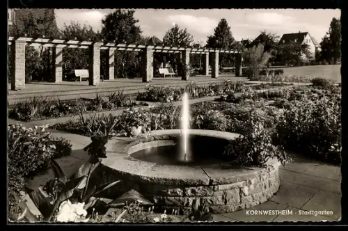 AK Kornwestheim, Stadtgarten mit Brunnen und Pergola
