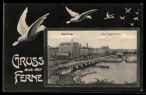 Grusskarten-AK Hamburg-Neustadt, Am Jungfernstieg, Brieftauben im Flug, Passepartout