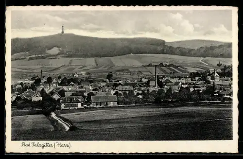 AK Bad Salzgitter / Harz, Gesamtansicht