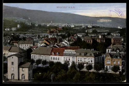AK Neustadt, Totalansicht aus der Vogelschau
