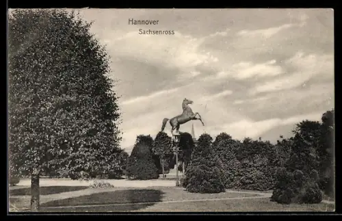AK Hannover, Sachsenross