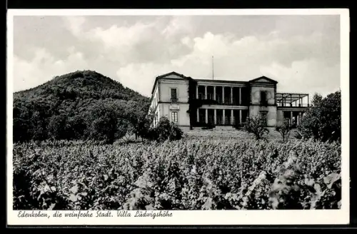 AK Edenkoben, Villa Ludwigshöhe
